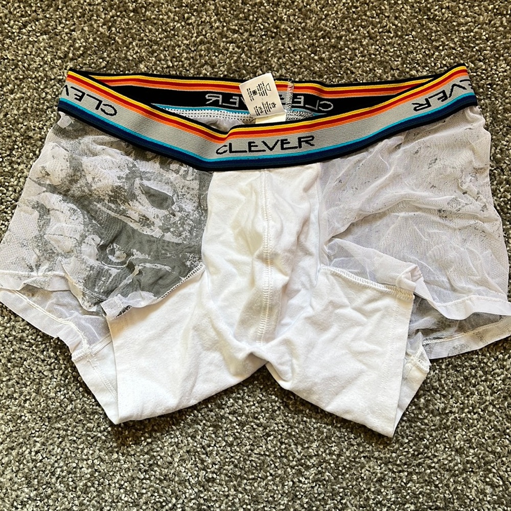 Clever Mesh Boxer Brief